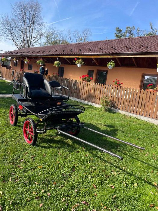 Caleașcă / trăsură pentru ponei