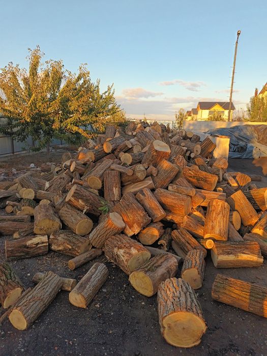 Lemne și cărbuni de foc