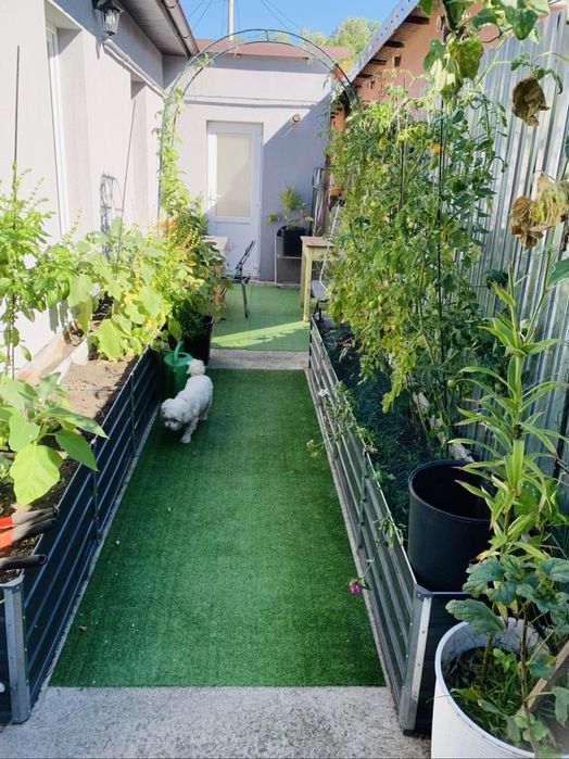 Casa de inchiriat Resita