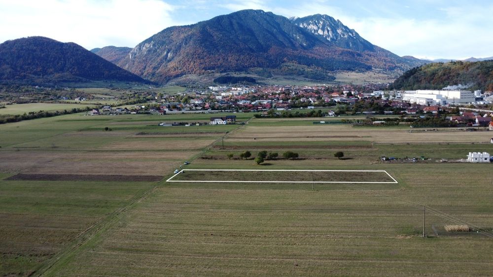 Servicii foto-video profesionale cu dronă & 360°