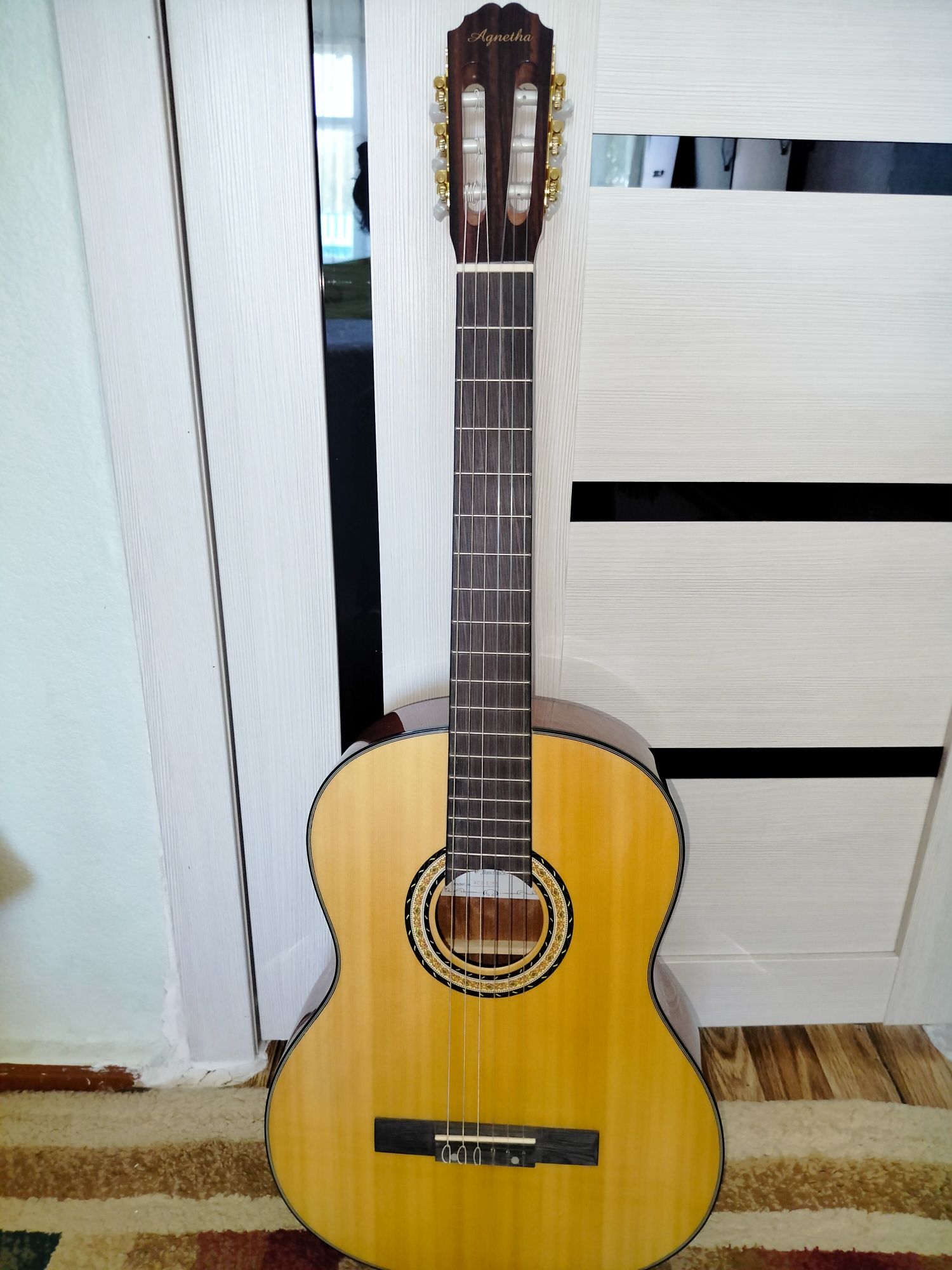 Продается гитара Agnetha (Handmade Guitar) Model: ACG-E150Новая