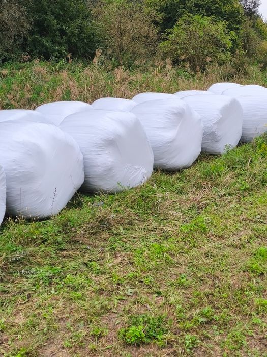 Vand baloti de fan infoliati