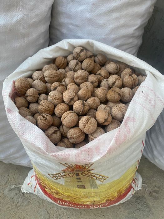 Жангак орех доставка