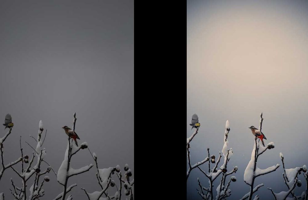 Професионална обработка на снимки!