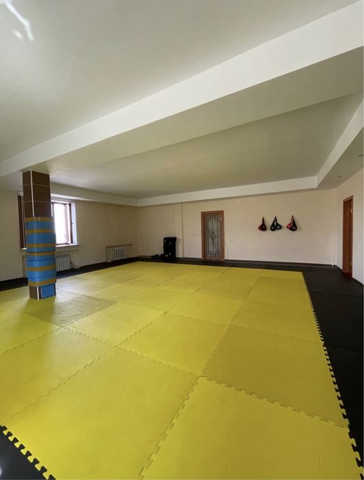 Даянги татами качественные