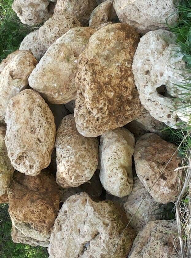 Камъни бигор 1,20 на кг