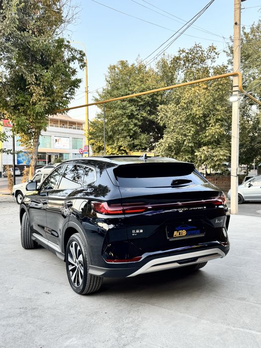 Byd Champion EV 605 km 2024