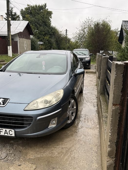 Peugeot 407 Vand/schimb cu e46