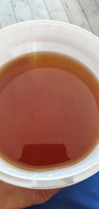 Мёд 1100 за 1 кг