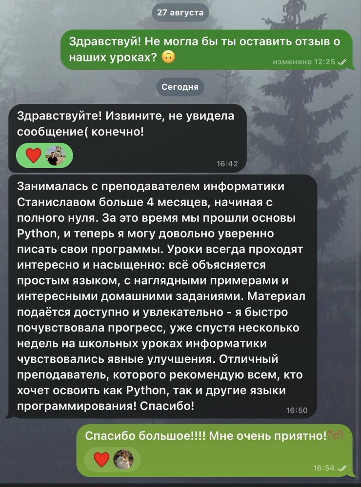 Python - проффесиональный репетитор пайтон