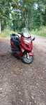 kymco grand dink 50