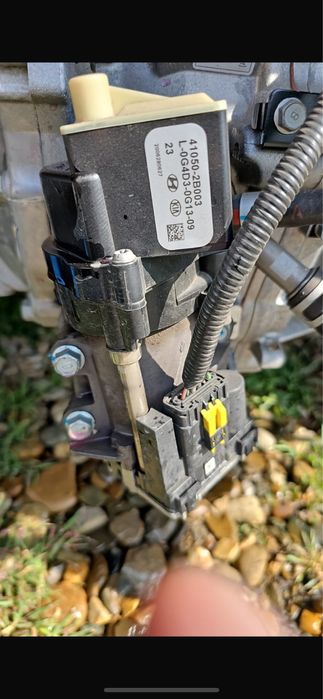 Kia Niro Activator Cutie