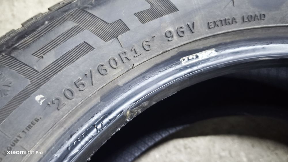 205.60r16 allseasson dor 2024