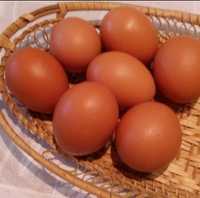 Домашние вкусные яйца