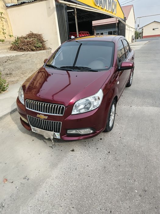 Нехиа 3 4 позиции 2019