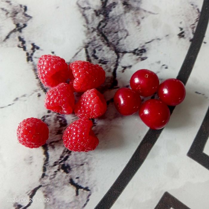 Продам домашнюю клубнику, вишню