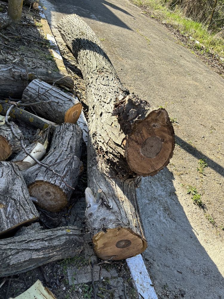 Орех, дънер за дървен материал