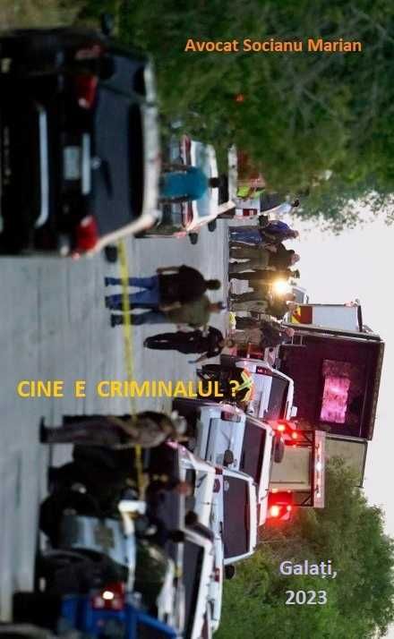 Cine e criminalul