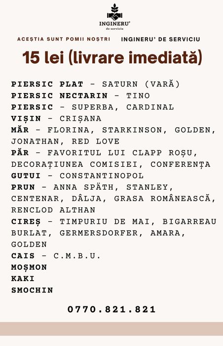 Pomi Fructiferi Diversi – Doar 15 lei bucata, livrare imediată!