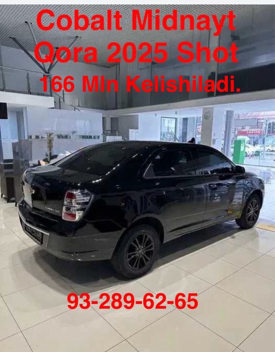 Kobalt 2025 Midnayt Qora Sho’t spravka