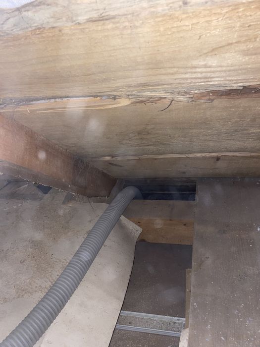 Izolatie celuloza/ Izolatii bucovina.ro