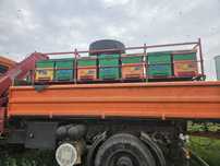 MAN 4X4 cu macara