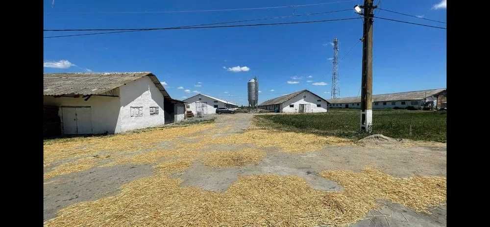 Inchiriez/Vand FERMA