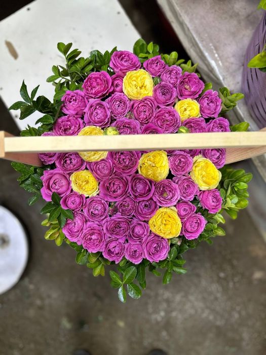 Savatli katarina bables gullari dostavka tashkent
