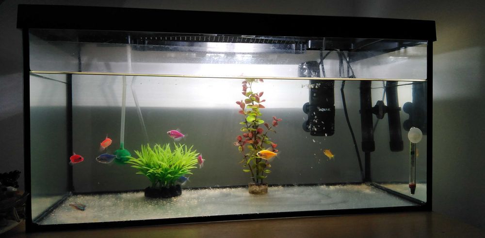 Acvariu Aquael complet echipat