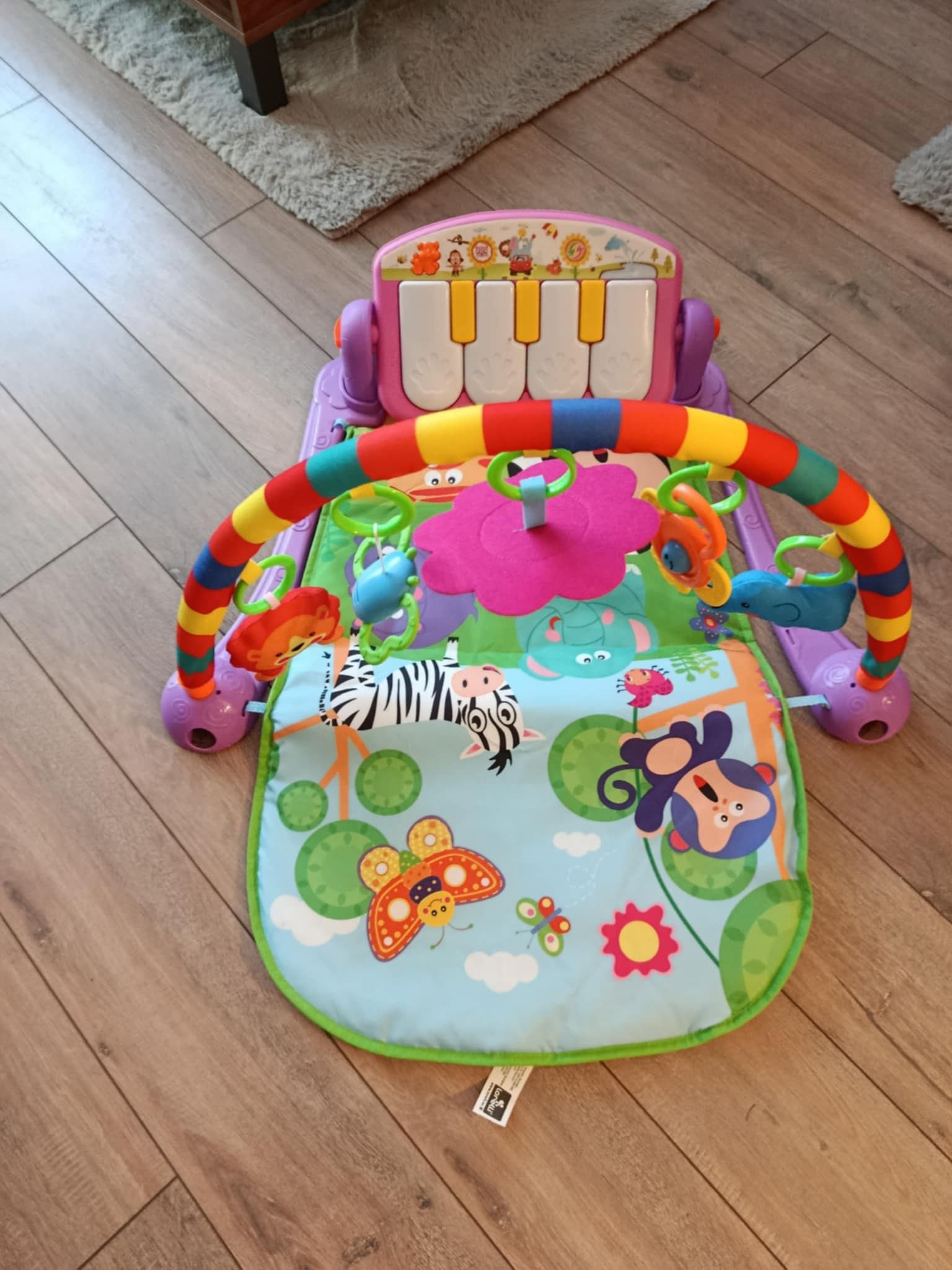 Активна гимнастика LORELLI Toys пияно
