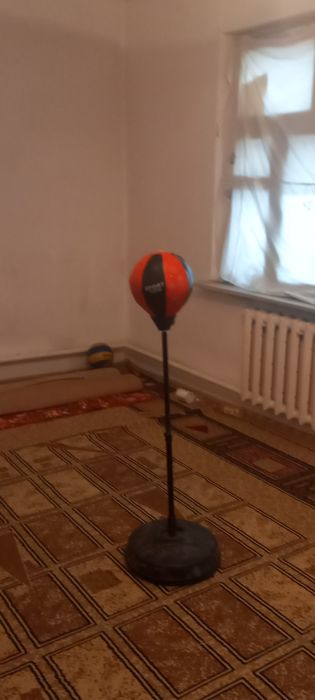 Продам  мишок  на домашни