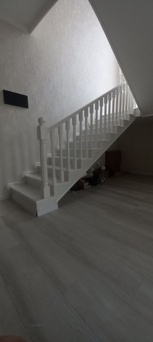 Зина устанопка .