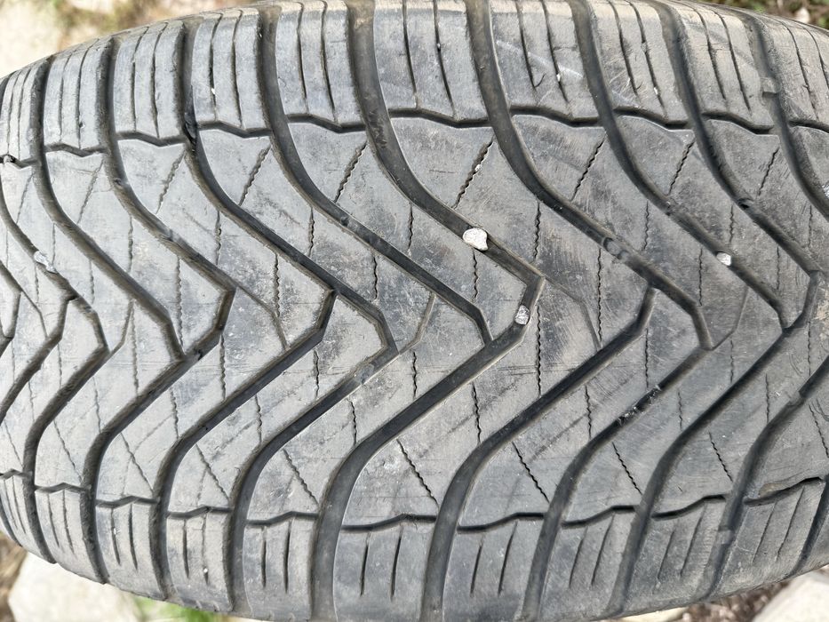 255 50/19 Gripmax Suregrip