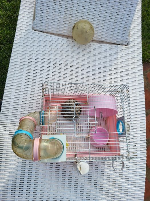 Vand cusca hamsteri