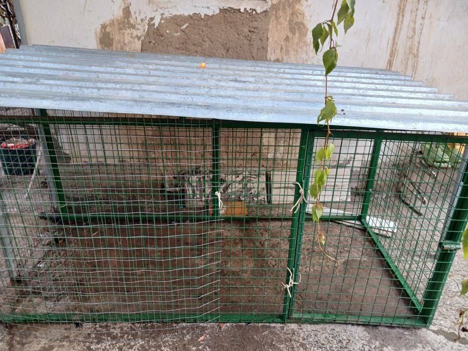 Продаю будку с вольером недорого