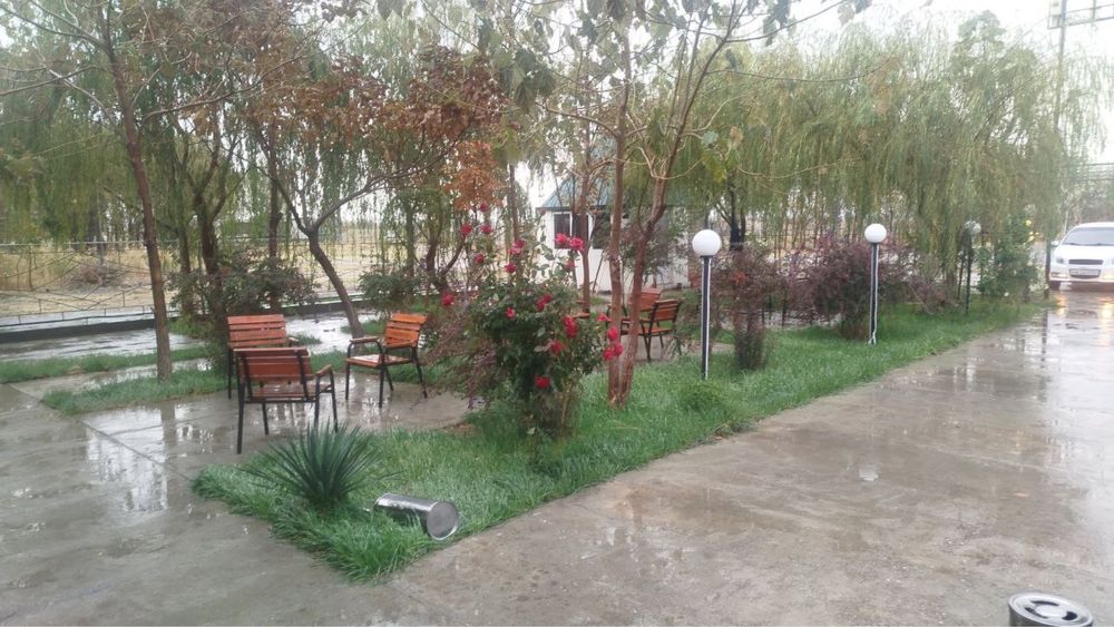 Kafe, tayor biznes sotuvda