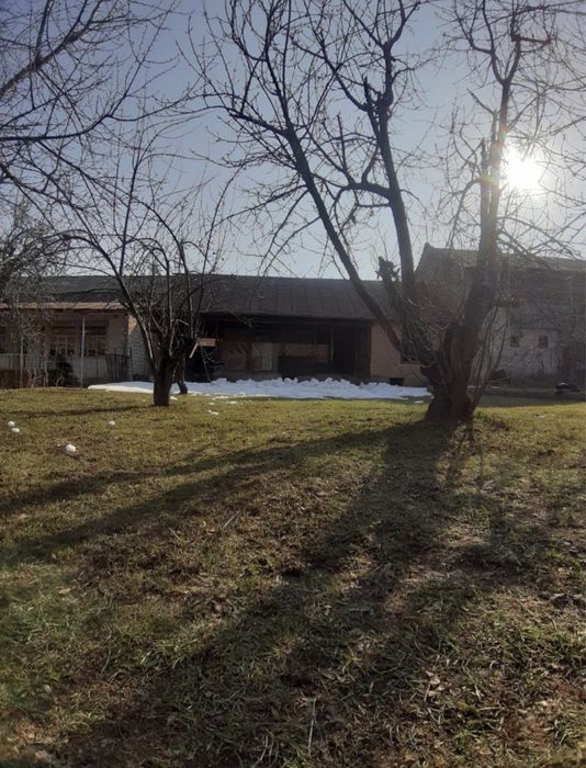 Dacha sotiladi, Humsonda!