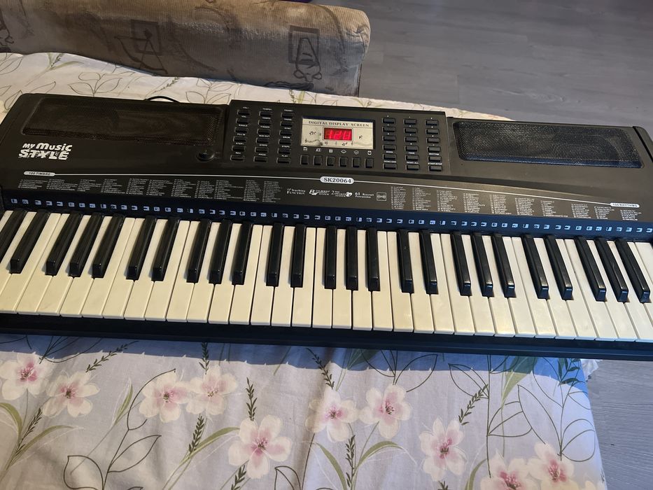 Orga electronica