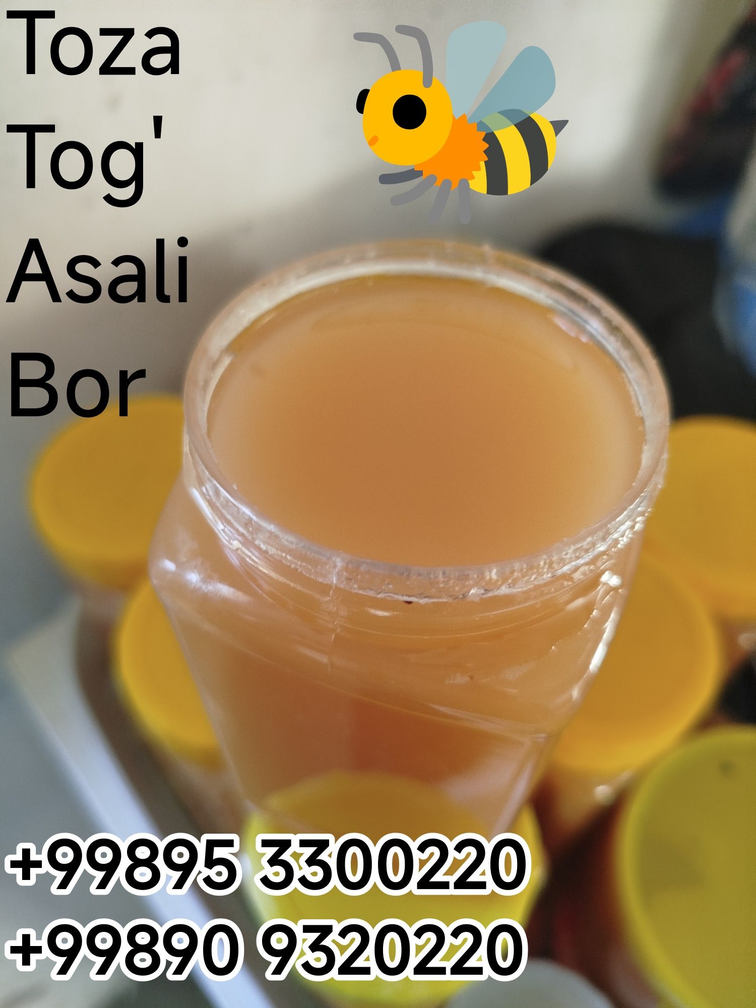 Toza Asal Toza Asal bor