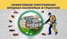 DEZINFEKSIYA Дезинфекция /дизинфекция /дизенфекция/
