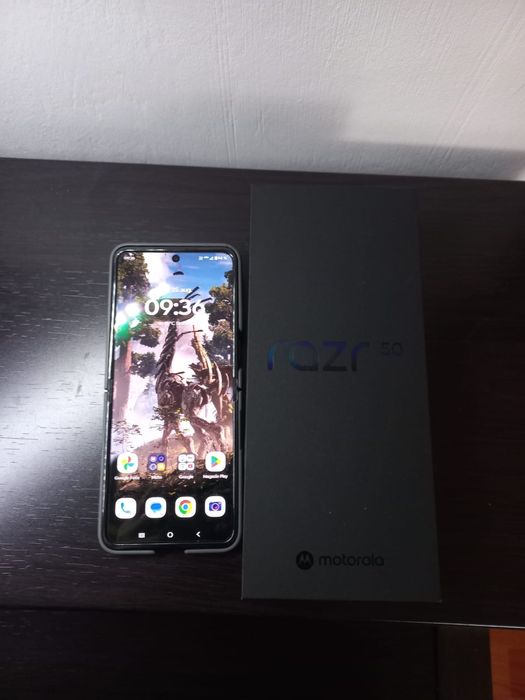Motorola razr 50
