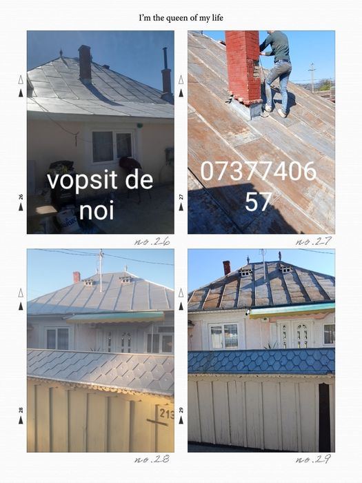 Vopsitor  profesionis  tabla pe case