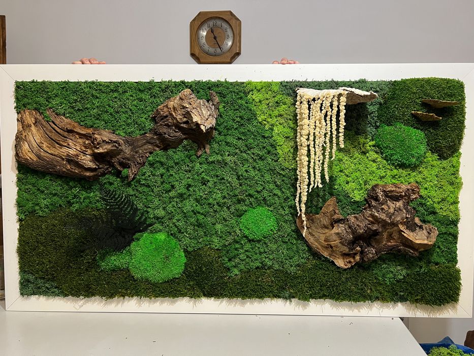 Tablou licheni si muschi naturali