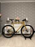 Biciclete Commuter  Urwahn Stadtfuchs/Urban E bike stadtfuchs