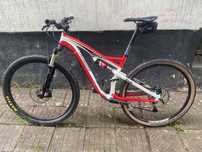 Specialized Camper 29 M