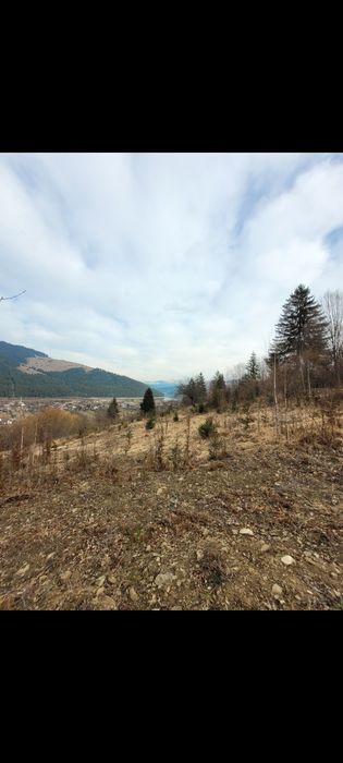 Teren bistricioara durau