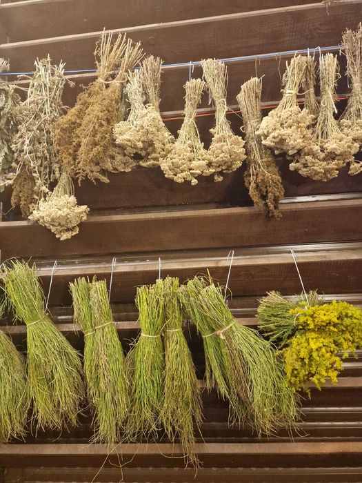 Buchete de plante uscate