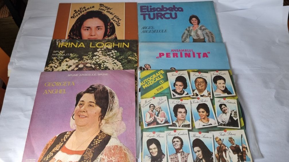 Muzica populara pe disc vinil LP set colectie