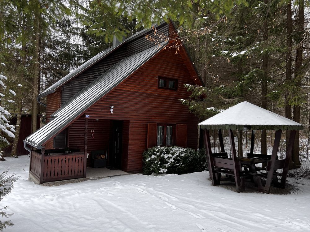 Cabana de inchiriat Izvorul Muresului