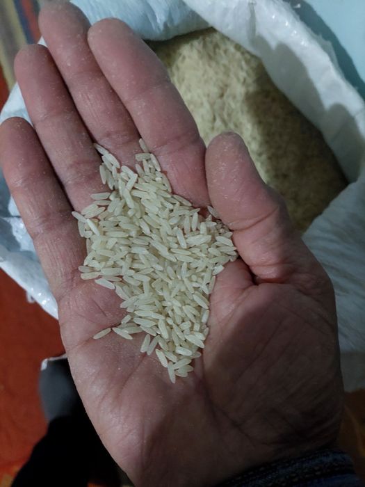 Xorazm lazer gurunch